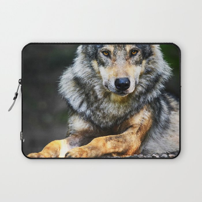 Gray Wolf Canis Lupus Summer Light 59 Laptop Sleeve