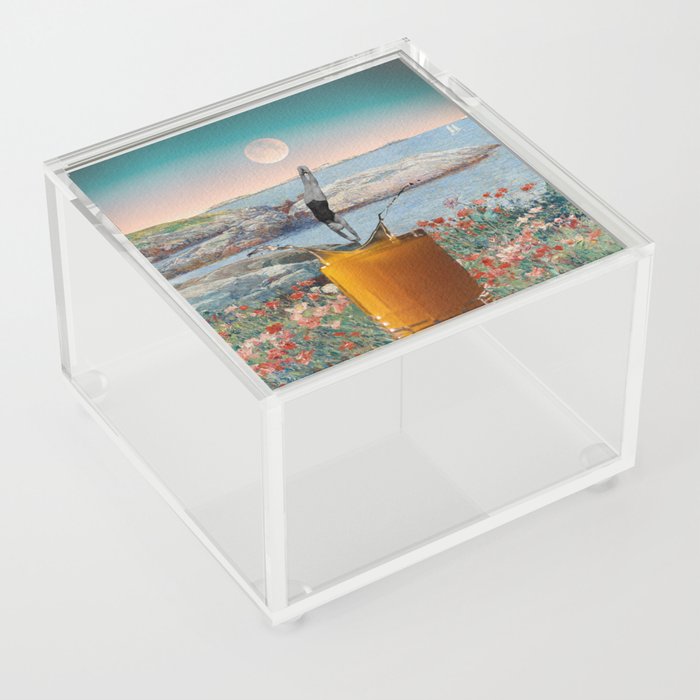 Morning Swim  Acrylic Box