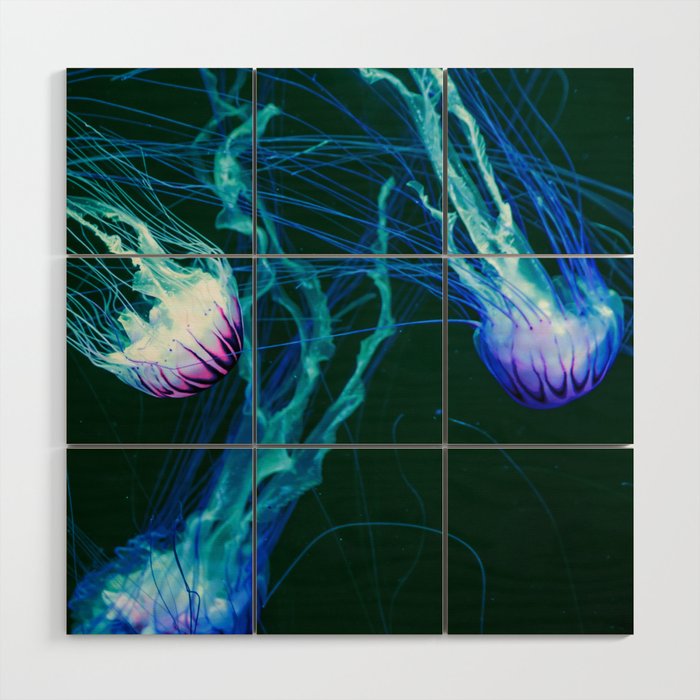 Floating Jellyfishes 5 Wood Wall Art