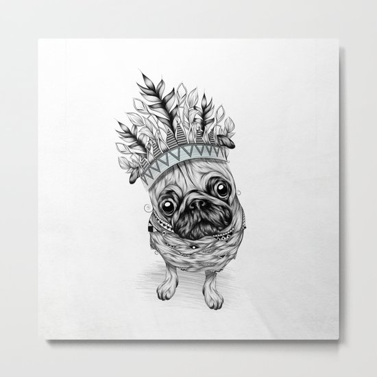Indian Pug Metal Print