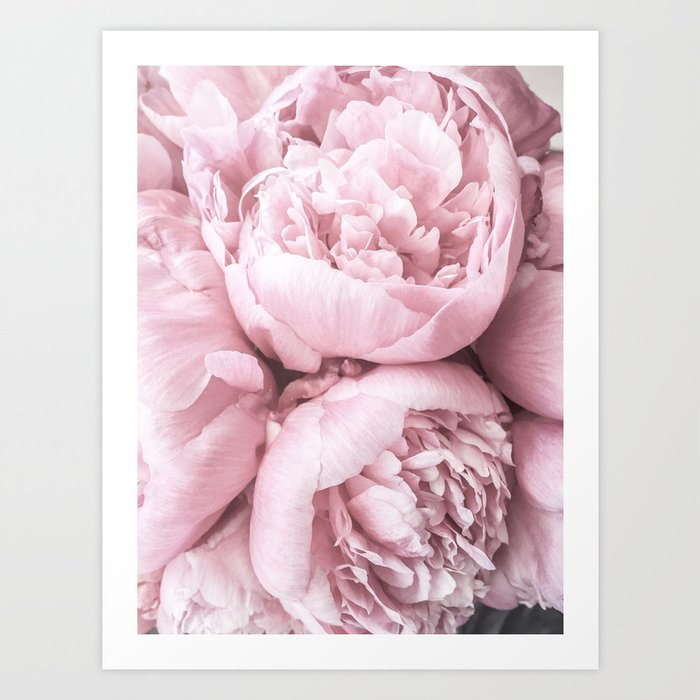 Lush Peony Flower Art Print | Photography, Flowers, Floral, Peonies, Peony, Pink, Flora, Nature, Photograph, Calm