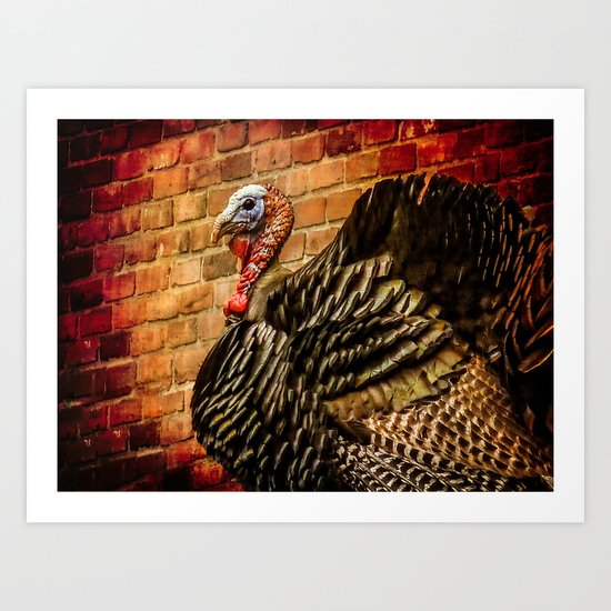 Wild Turkey Art Print