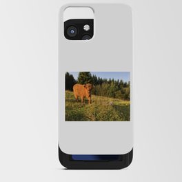 Fluffy Highland Cattle Cow 1188 iPhone Card Case