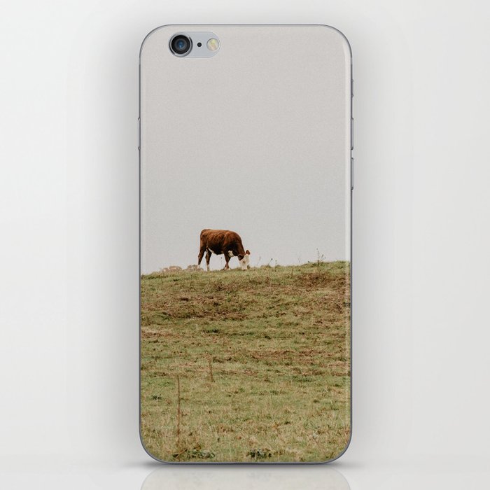 cows grazing in a field	 iPhone Skin