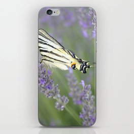 Swallowtail Sideview Amongst Lavender Spikes Photograph iPhone Skin