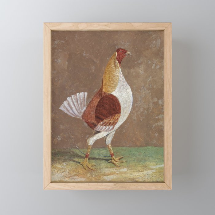 Fighting Cocks, a Pale-Breasted Fighting Cock, Facing Right  Framed Mini Art Print