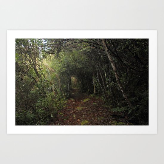Veiled trail Art Print
