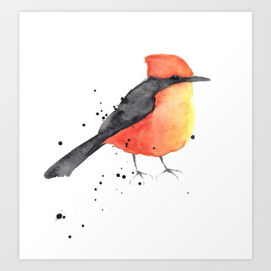 Vermilion flycatcher Art Print