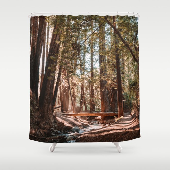 Big Sur Redwoods Shower Curtain
