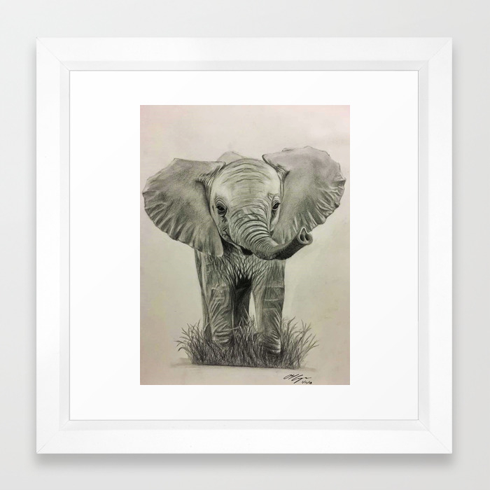 Baby Elephant Pencil Drawing Framed Art Print By Abelcam Society6