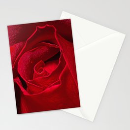 Rose Bud Stationery Cards