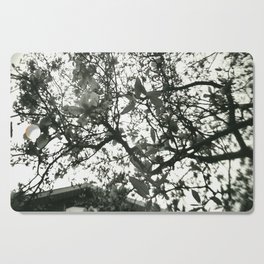 Cherry blossoms in bloom Cutting Board