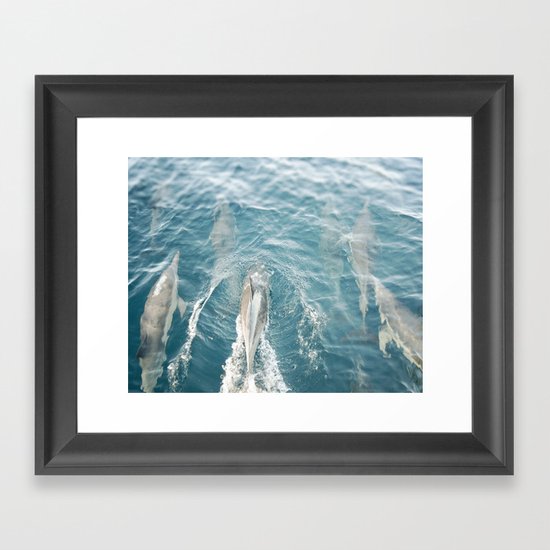 Dolphins Come Play Framed Art Print
