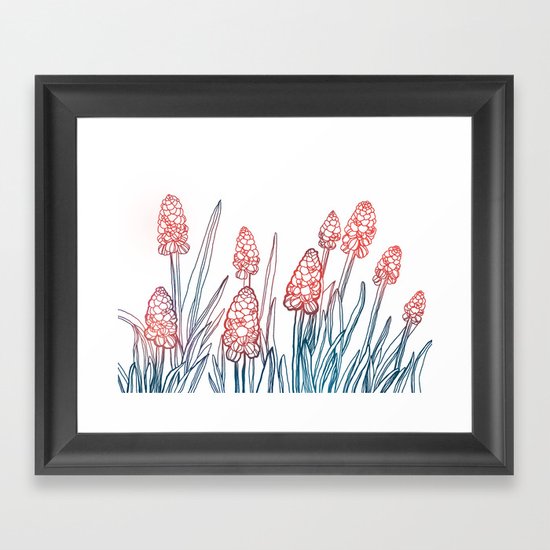 Hyacinths Framed Art Print