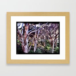 Stone Pine Cathedral Framed Art Print