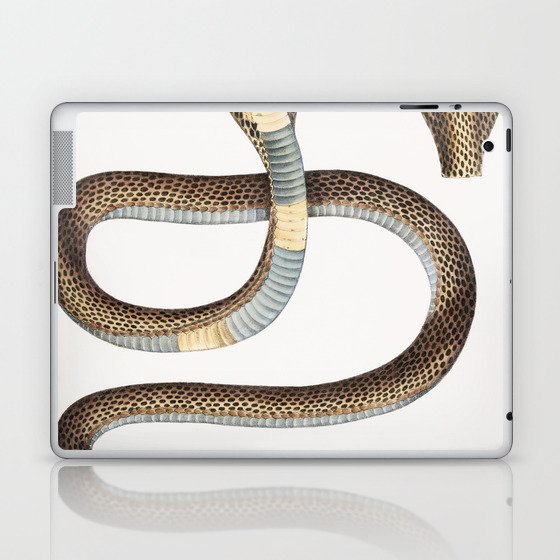 Cobra Capella (Naia Tripudians) Laptop & iPad Skin