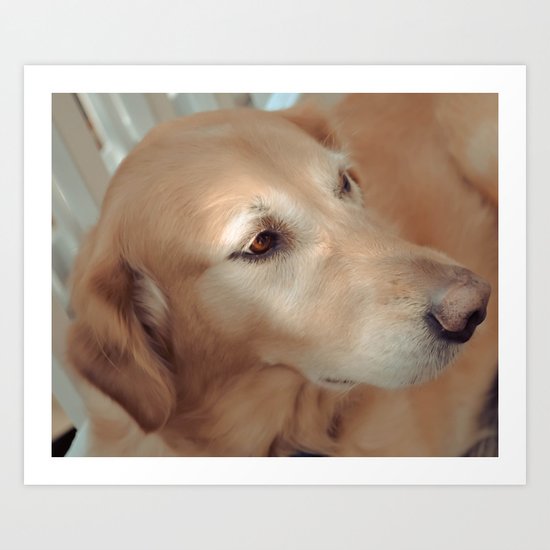 Golden Love Art Print