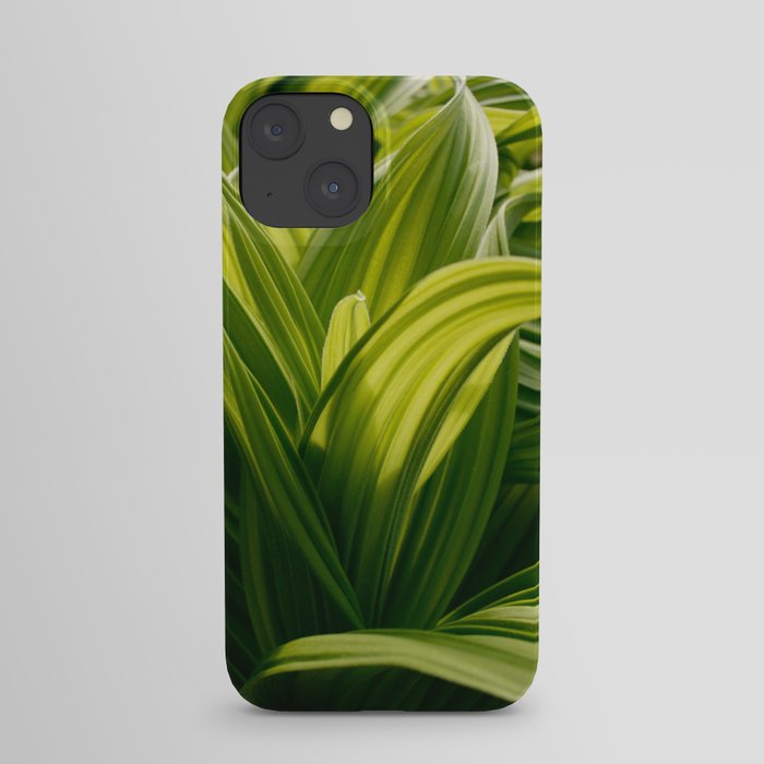 Green Goodness by Mandy Ramsey, Haines, Alaska iPhone Case