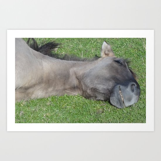 Grinning Horse Art Print