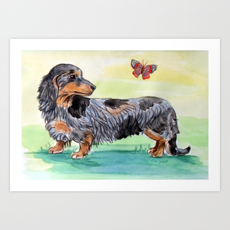 Long Haired Dachshund Puppy With Butterfly Art Print By