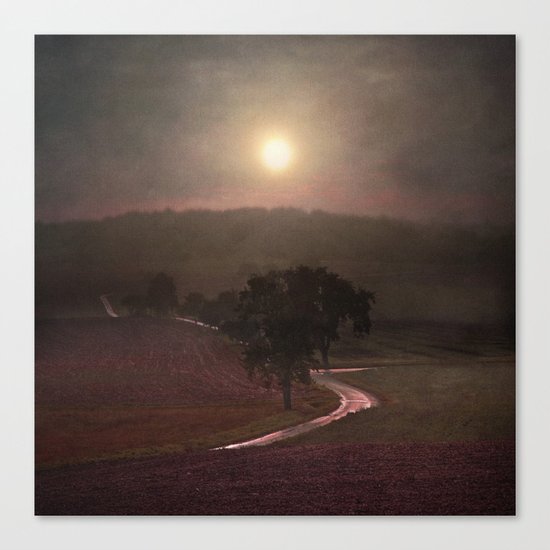 A new beginning VI Canvas Print