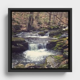 woodland waterfall Framed Canvas