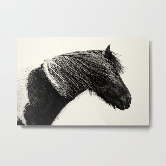 Sýn - An Icelandic Horse Metal Print