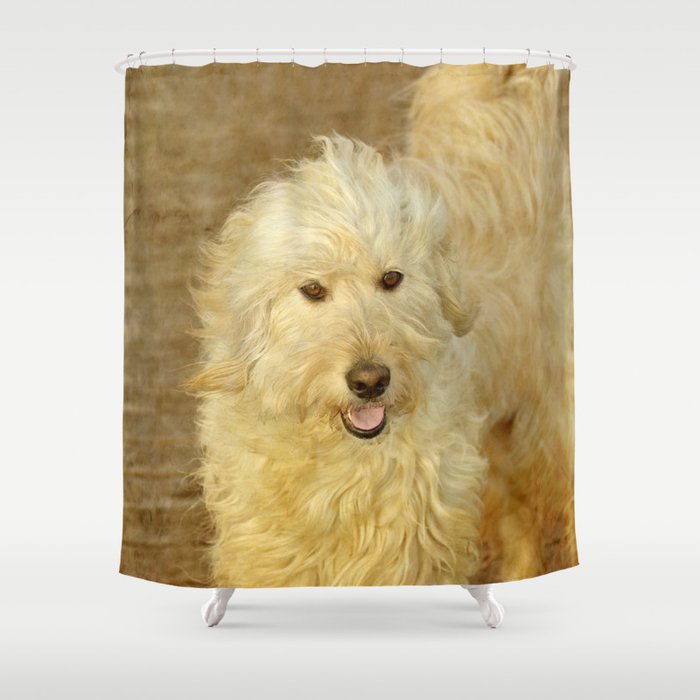 Dog  Golden Doodle Shower Curtain