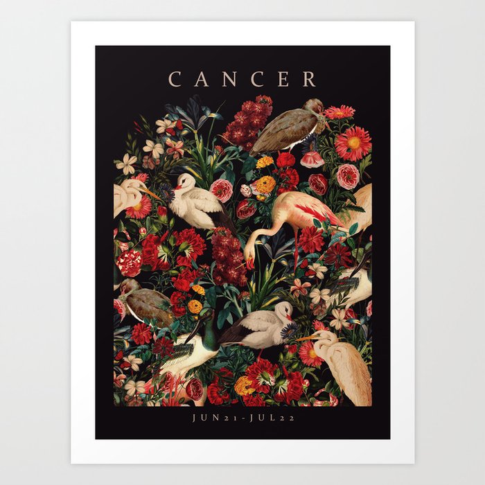 CANCER II Art Print