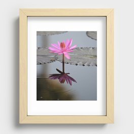 Beautiful Lotus  Recessed Framed Print