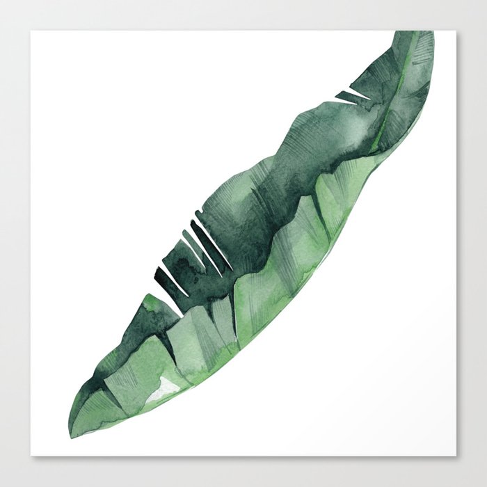 Banana Leaf Green Canvas Print