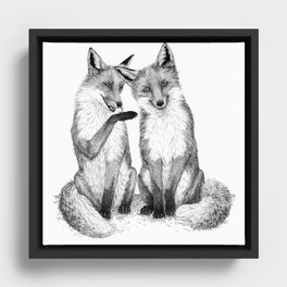 Gossip foxes Framed Canvas