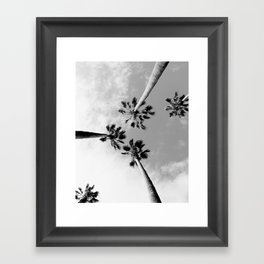 Black and White Palm Trees Framed Art Print