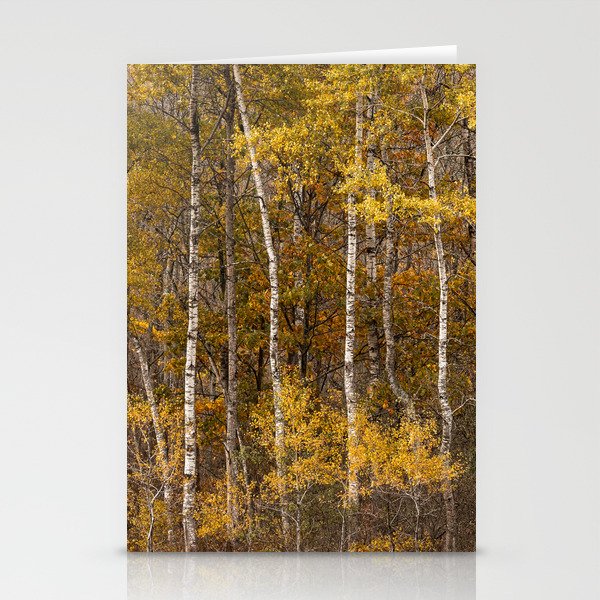 Autumn Birch  Stationery Cards