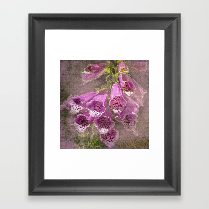 Purple Foxglove, a Wildflower of Yosemite Framed Art Print