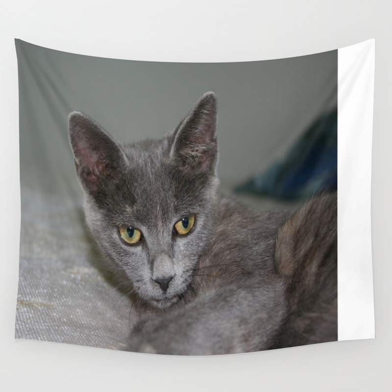 Beautiful Portrait Of A Grey Russian Cross Tabby Cat Wall Tapestry By Taiche Society6