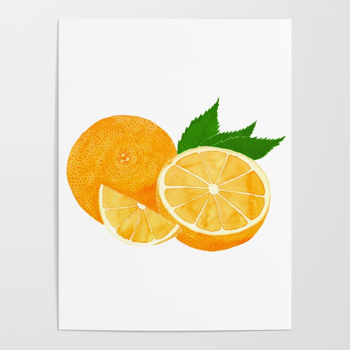 Delicious Watercolor Oranges Poster