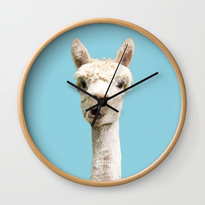 Cute white alpaca portrait on blue sky background Wall Clock