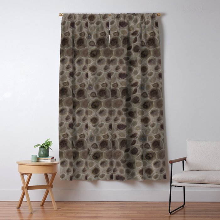 Blackout Curtain