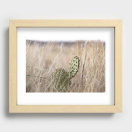 Prickly Prairie Grasslands Recessed Framed Print