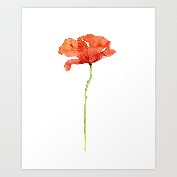 Red Poppy Flower Watercolor Art Print