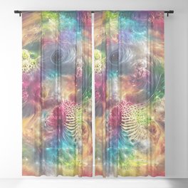 Rainbow Explosion Sheer Curtain