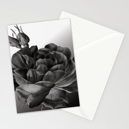 rose in black and white Stationery Card