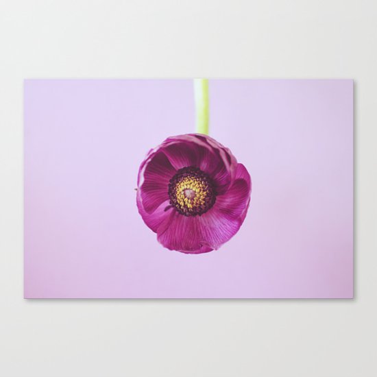 purple Canvas Print