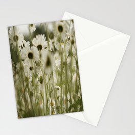 white daisies :) Stationery Cards