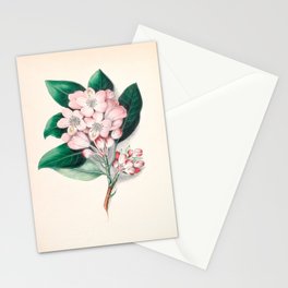  Rhododendron by Clarissa Munger Badger, 1859 (benefitting The Nature Conservancy) Stationery Card