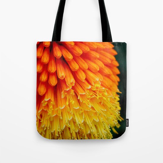 Kniphofia Rooperi Tote Bag