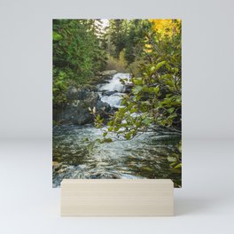 Waterfall Creek, Washington Autumn Mini Art Print