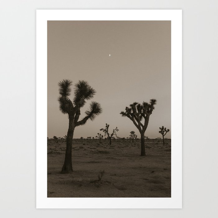 Moonrise over a Tintype Desert Art Print