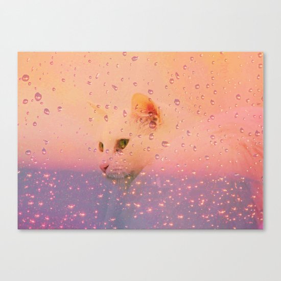 White Cat, rainy Day Canvas Print